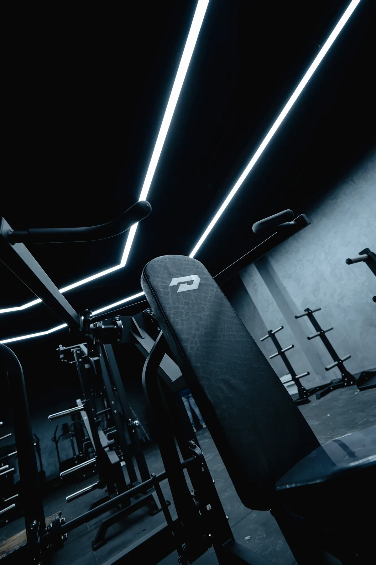 Strength equipment beneath linear gym lighting