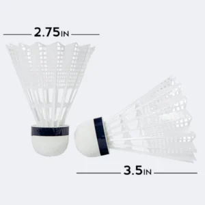 350-3.webp