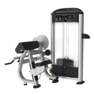 Biceps and Triceps Curl