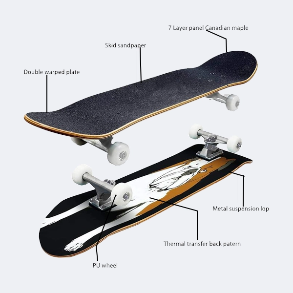 Big-Size-SkateBoard-4.webp