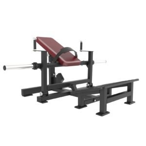 DZ30 Hip Glute