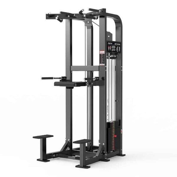Dip and Chin-Up Assist