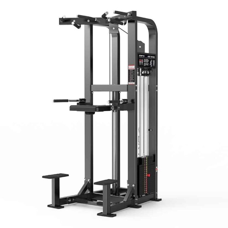 Dip and Chin-Up Assist