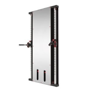 Wall Mounted Functional Trainer