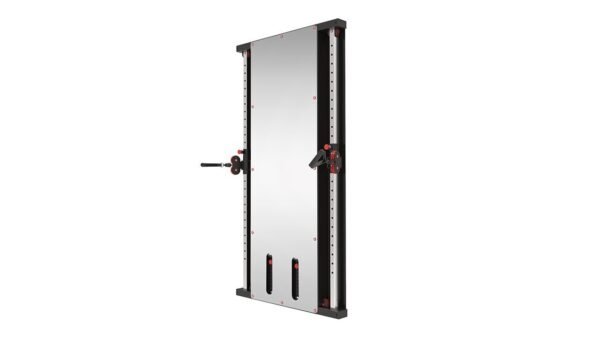 Wall Mounted Functional Trainer