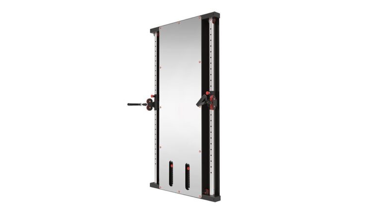 Wall Mounted Functional Trainer