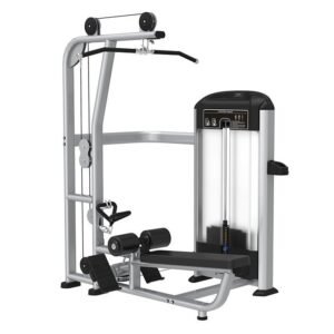 Lat Pulldown and Low Row
