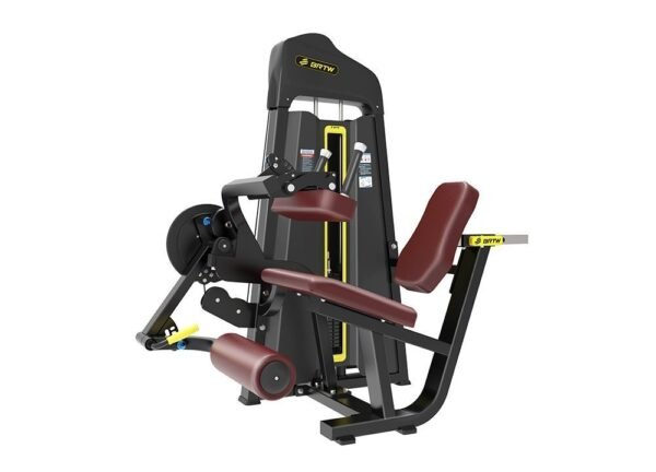 Seated Leg Curl and Extension