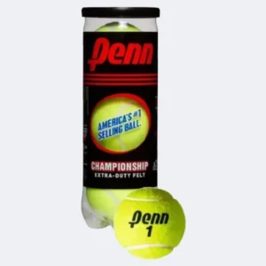 Penn-2.webp