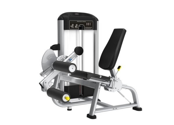 Seated Leg Curl and Extension