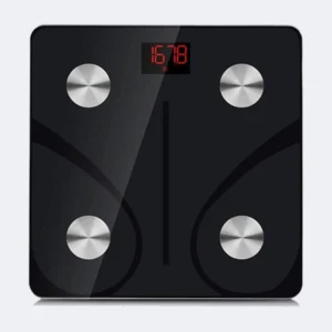 Scale-3.webp