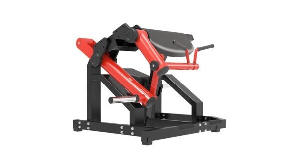 TG65-Biceps