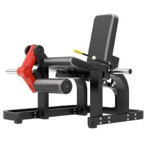 Seated Leg Extension
