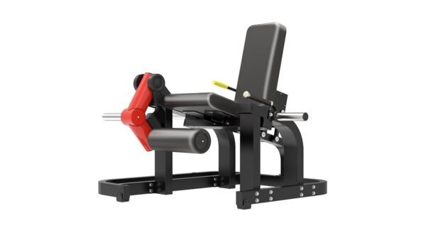 Seated Leg Extension