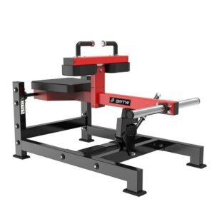 Seated Calf Machine