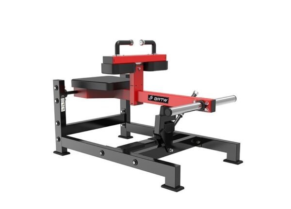 Seated Calf Machine