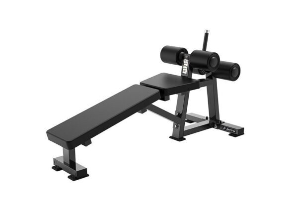 Decline Bench
