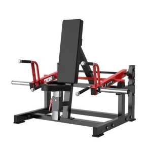 Seated and Standing Shrug
