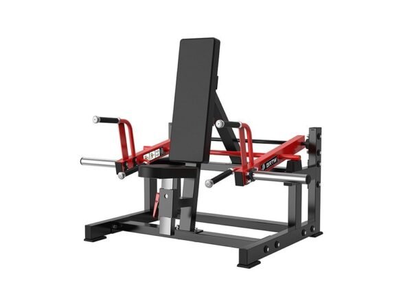Seated and Standing Shrug