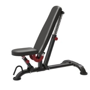 TS212-Adjustable-bench