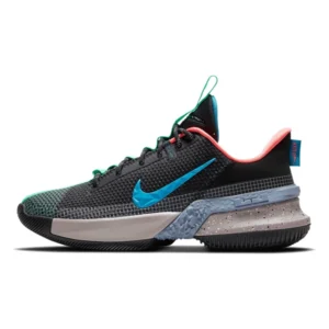 Lebron Witness V 4